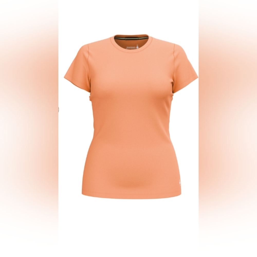 Smartwool Classic All-Season Merino T-Shirt 